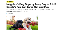 Media Article Thumbnail